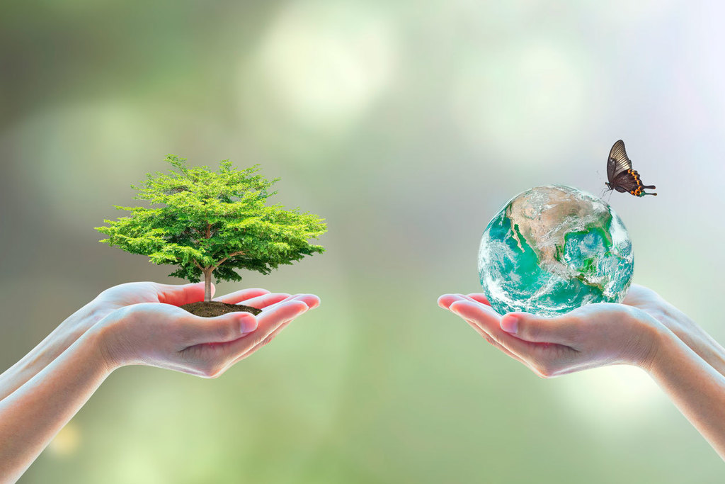 Compromiso Ambiental